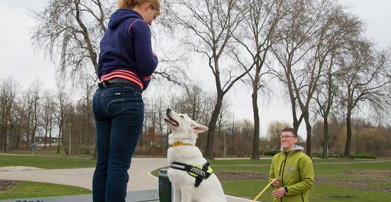 gedragsbegeleiding voor honden